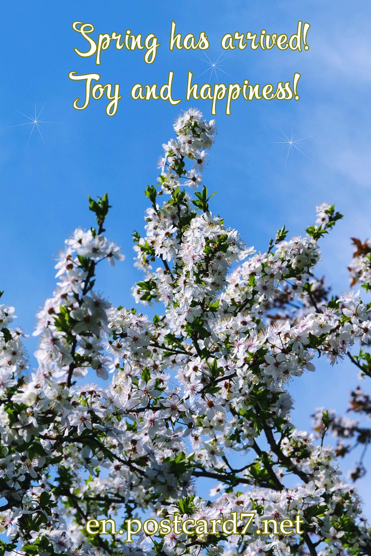 Spring has arrived, a cheerful spring picture with a plum tree in bloom