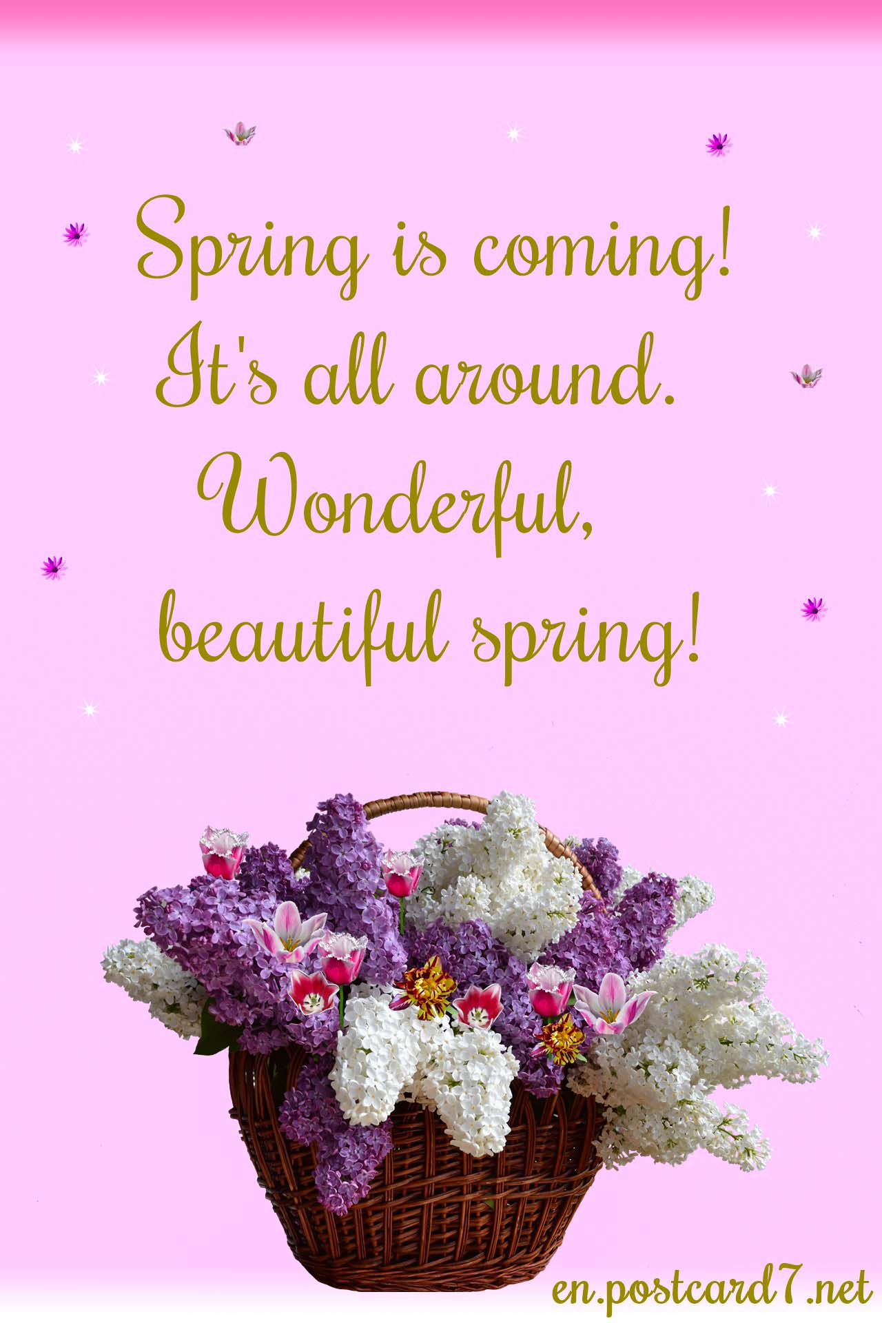 Spring is coming, postcard with lilacs in a basket