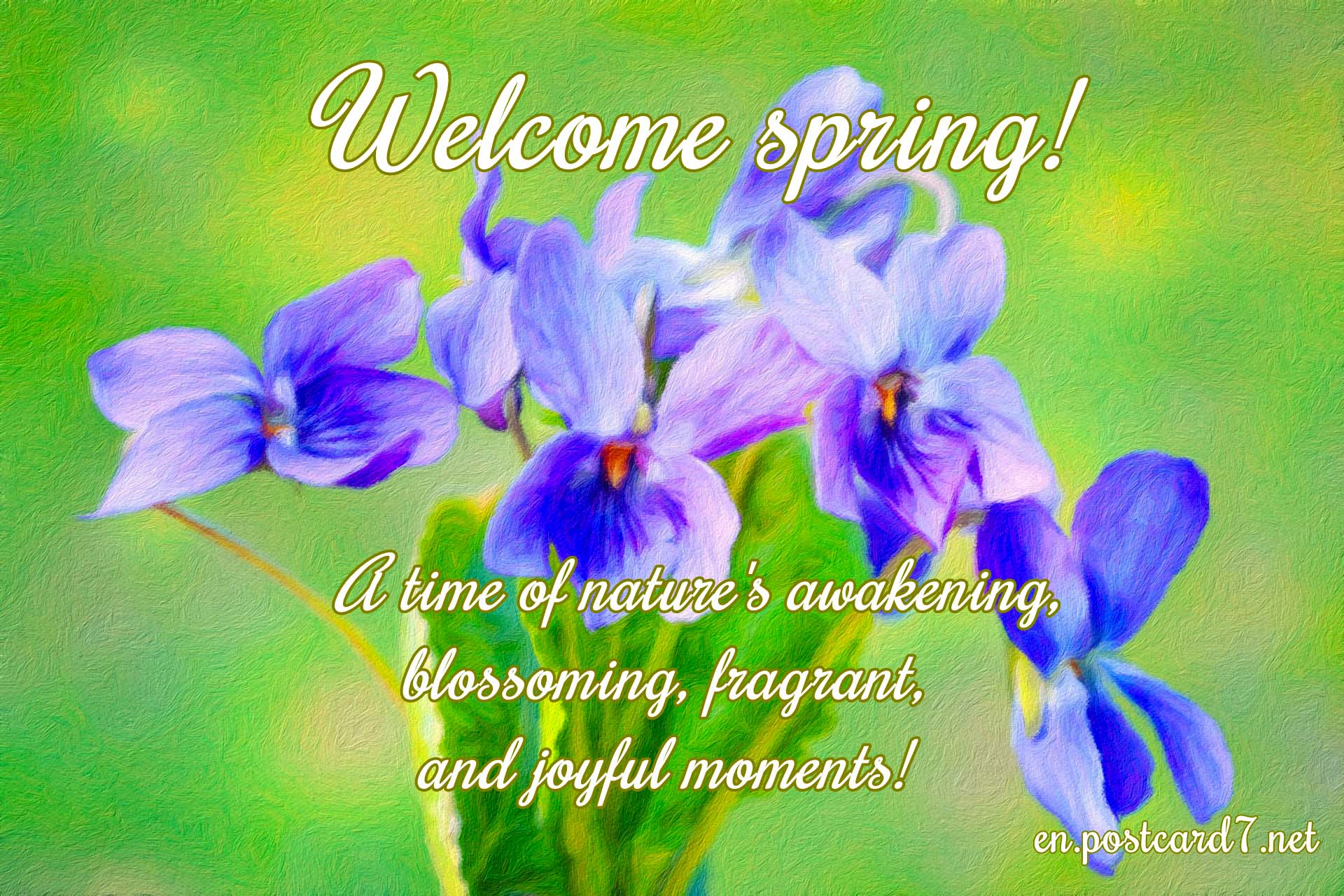 Welcome, spring, postcard with violets