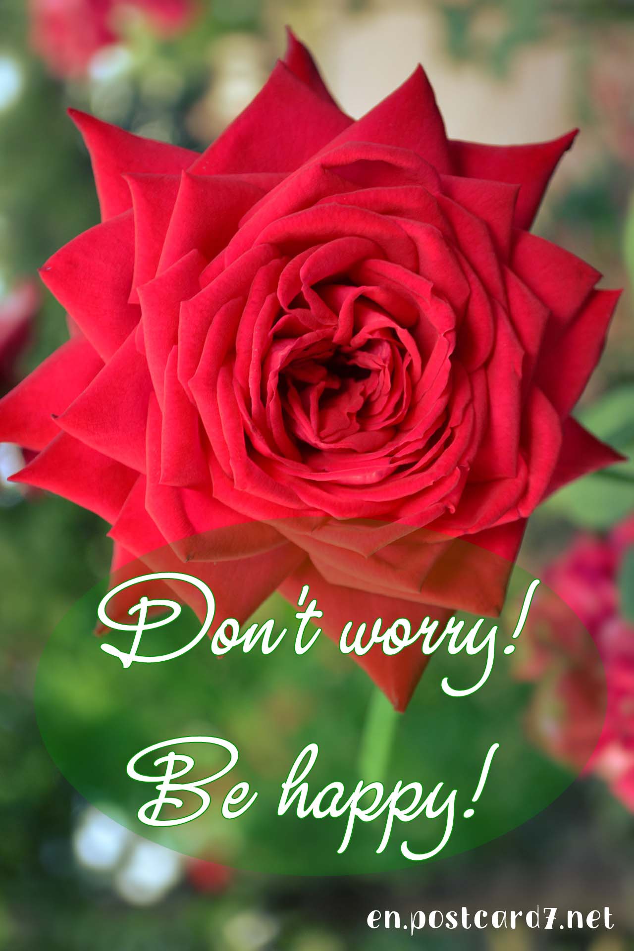 Be happy! Rose, happy card