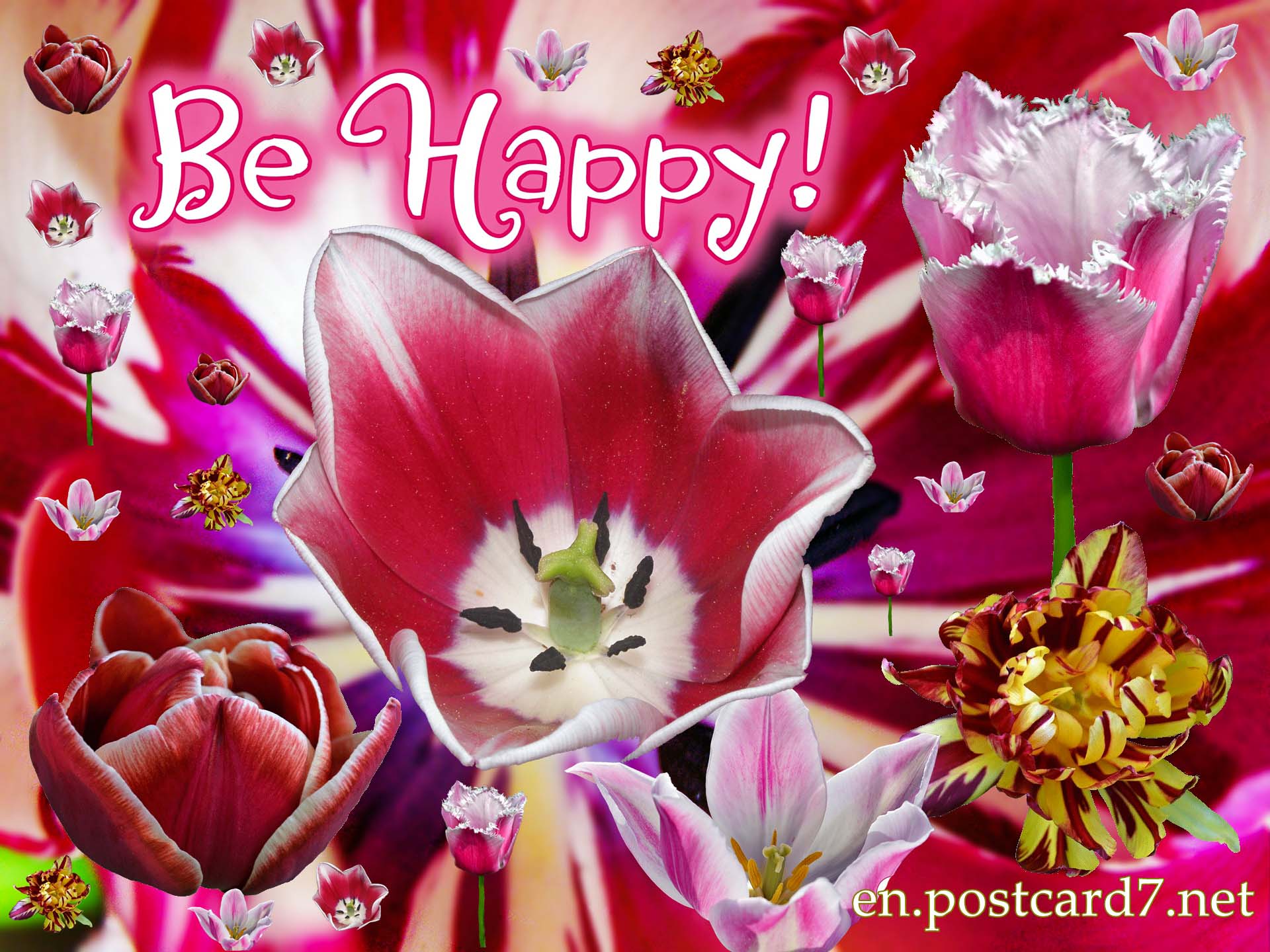 Be happy! Tulips, happy card